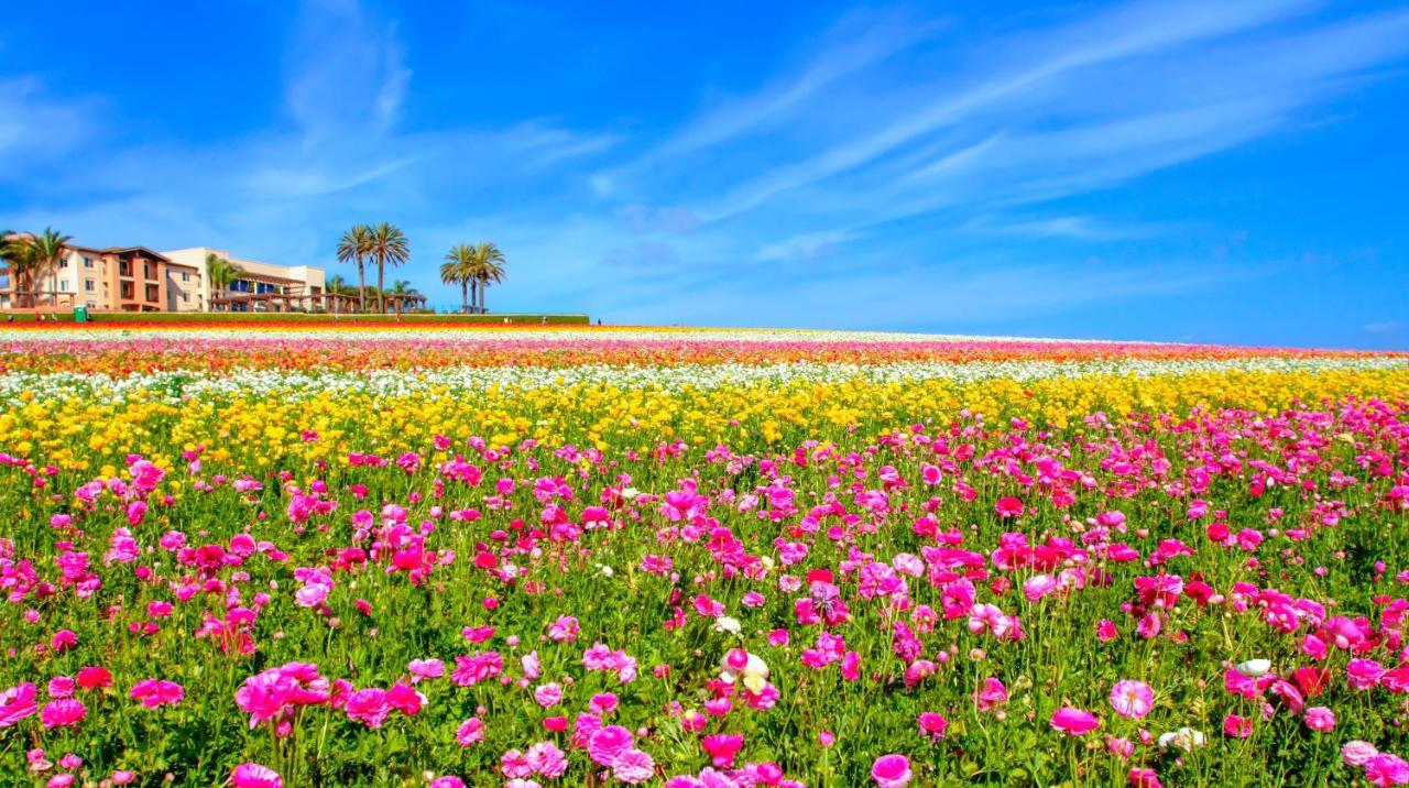 Carlsbad By The Sea Hotel Екстериор снимка